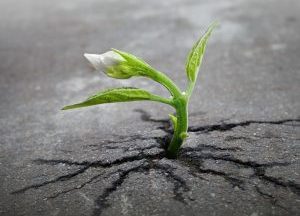 Livorno. Corso manageriale “Professional Empowerment”. 7, 14 e 21 Ottobre 2019
